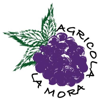 logo azienda agricola la mora